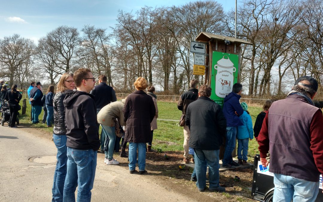 Die Kuh ist los! Das Vieh ist draußen!