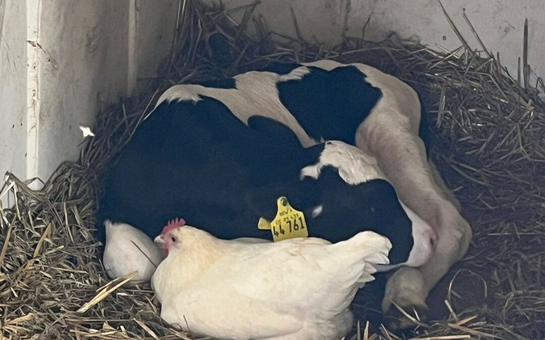 Wer hätte das gedacht?